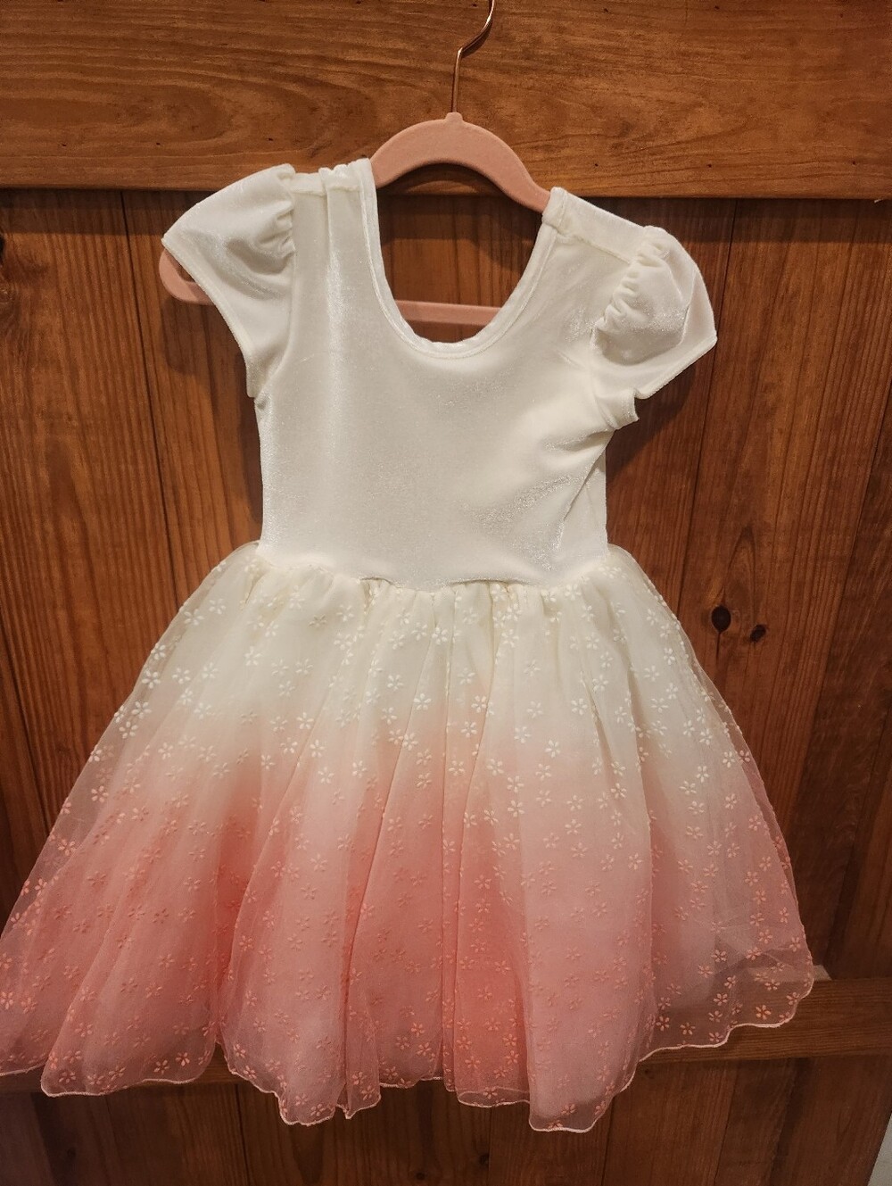 Girls' Ivory to Pink Ombre Tulle Party Dress